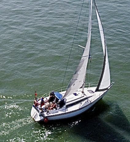 Tiburon Drohnenfoto
